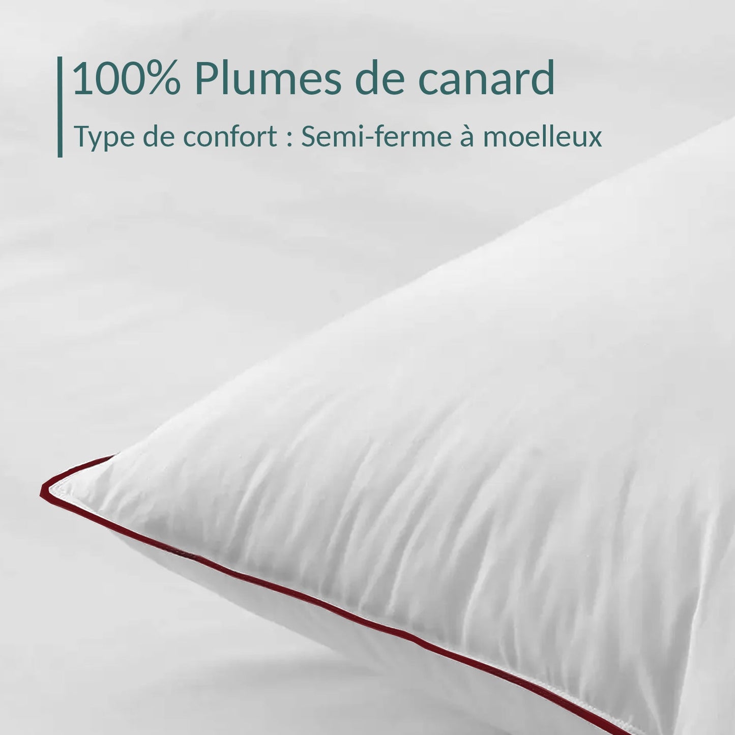 Oreiller Confort Plumes : soutien mi-ferme et 100% plumes de canard